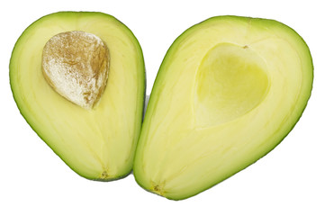 Avocado 14