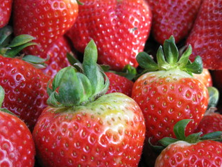 Morangos Biológicos