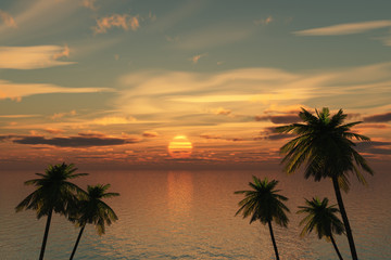 Naklejka na ściany i meble Palm tree sunset