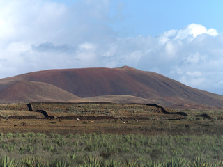 Obraz premium Vulkane und Kakteenfelder