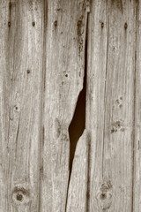 A wood texture