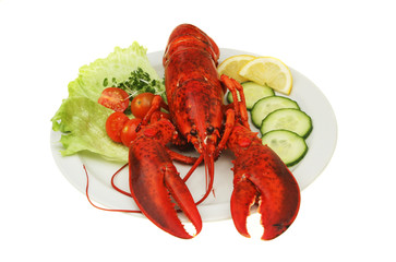 Lobster on plate