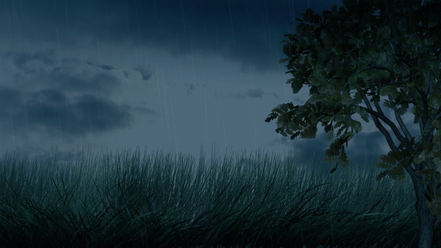 Footage of blustery night