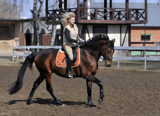 Equestrian sport: