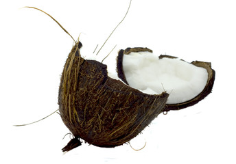 Fototapeta premium Coco