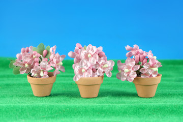 spring flower miniatures