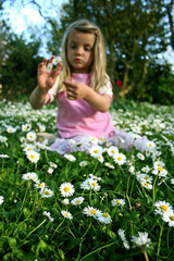 mädchen im gras © mr.nico