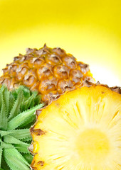 pineapple closeup