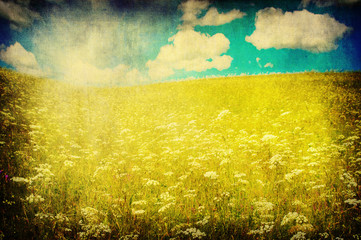 grunge image of green field and blue sky
