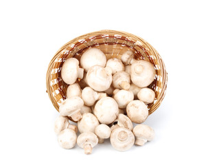 Fresh mushrooms in a basket