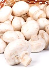 Fresh mushrooms in a basket