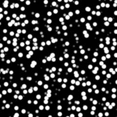 cells