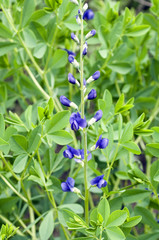 F&auml;rberh&uuml;lse