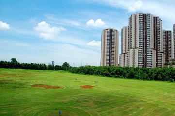 Golf Field