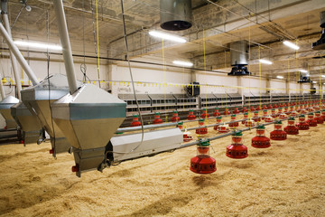 poultry farm - 12153517