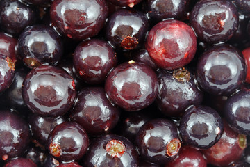 Fresh black currant.