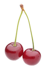 two cherry on white background