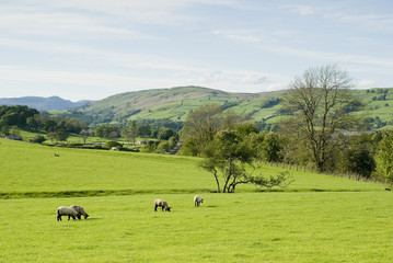 Lake District National Park