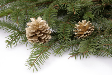 Two pine cones with green coniferous twigs