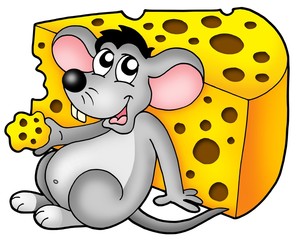 Cute mouse eating cheese