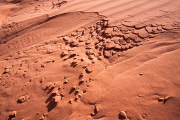 Wadi Rum - The Dune