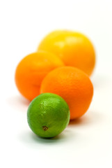 Orangen,Zitrone,Grapefruit und Limette