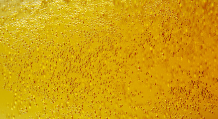 Burbujas cerveza
