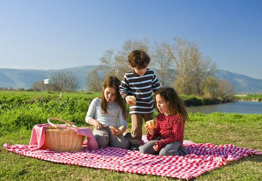 picnic