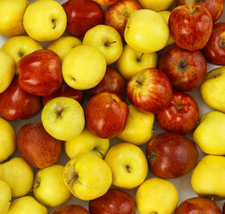 yellow and red apples