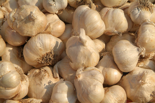 Knoblauch II