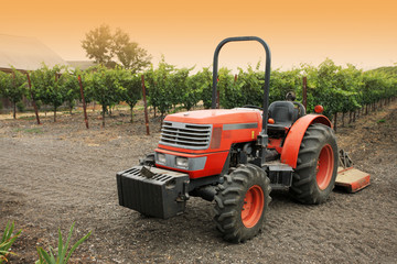 Naklejka premium Small red tractor in vineyard