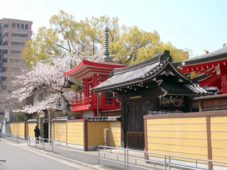 Crédence de cuisine en verre imprimé Temple Temple with Cherry Blossoms