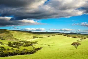 Gordijnen Nieuw-Zeelandse landschap © Dmitry Pichugin