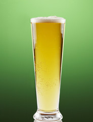 Cerveza Fondo Verde