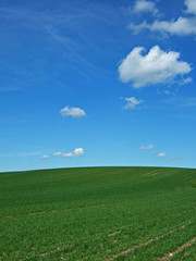 Fototapeta premium grüner hügel unter blauem Himmel