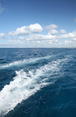 Beautiful Ocean Landscape: Waves and Sky