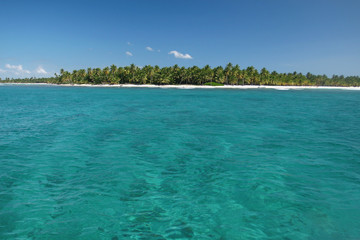 Fototapeta na wymiar Paradise: Tropical Island with Palm Trees in Caribbean Ocean