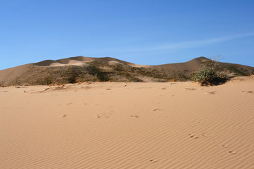 Fototapeta na wymiar Kelso Sand Dunes, Mojave Desert, California