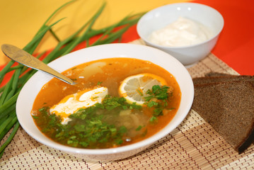 Russian traditional soup - solyanka