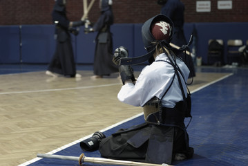 Kendo Training - 12178328