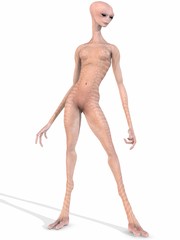 Fototapeta premium Female Alien
