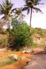 The fairy stream of Ham Tien in Vietnam
