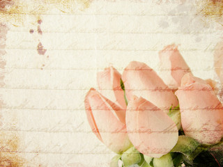 Grunge little pink roses background