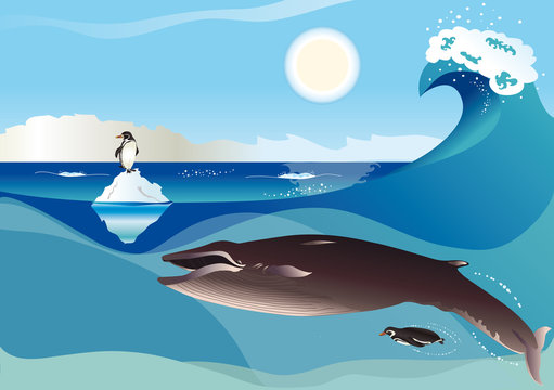 Balena e pinguini