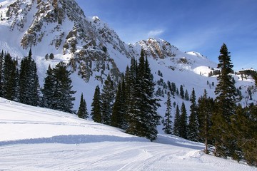 Ski Run