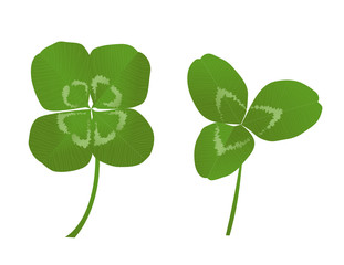 three and four leaf clovers