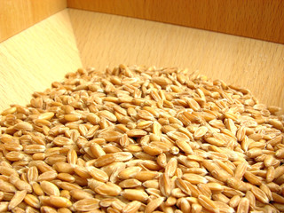 Befüllte Getreidemühle mit Körnern zum mahlen