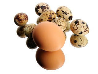 Chicken egg and quail eggs isolated on white