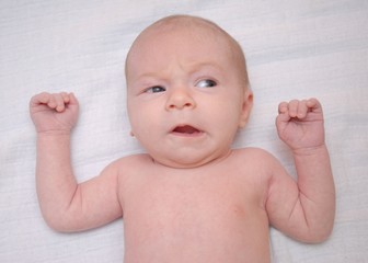 Bebe Wall Mural Wallpaper Murals Wallsheaven Muro