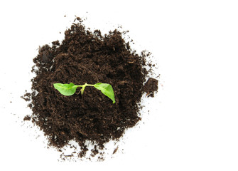 New Life (growth concept)